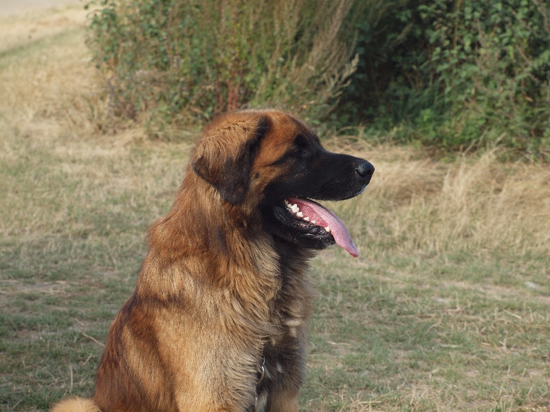 Ebene du Pont des Aulnes