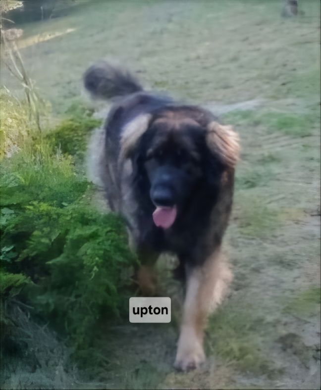 Upton du Pont des Aulnes