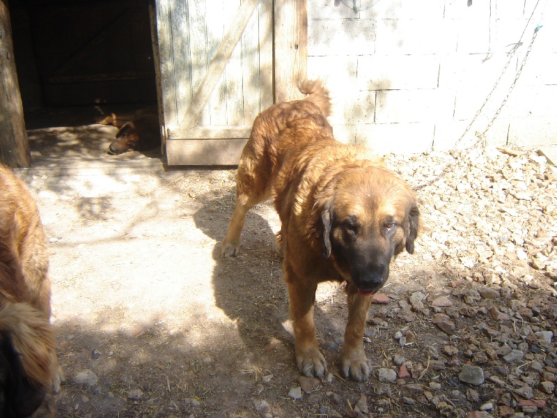 Publication : du Pont des Aulnes