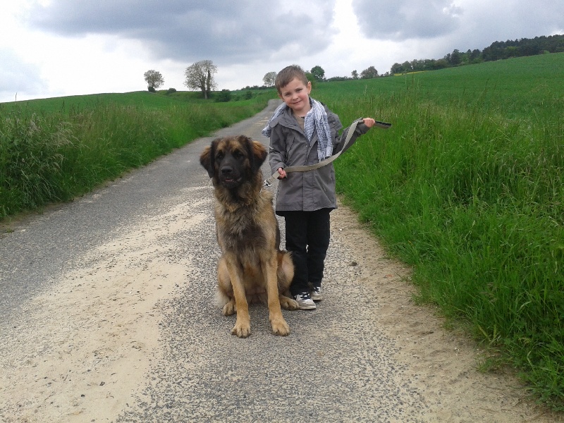 Publication : du Pont des Aulnes