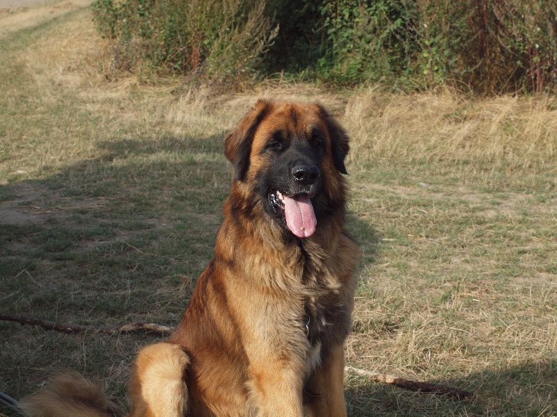 Ebene du Pont des Aulnes