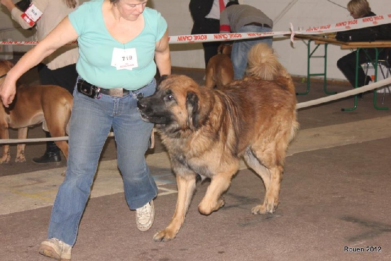 Ebene du Pont des Aulnes