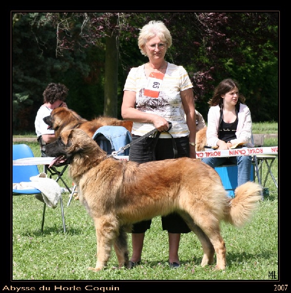 Publication : du Pont des Aulnes