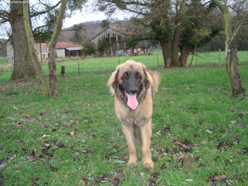 Publication : du Pont des Aulnes