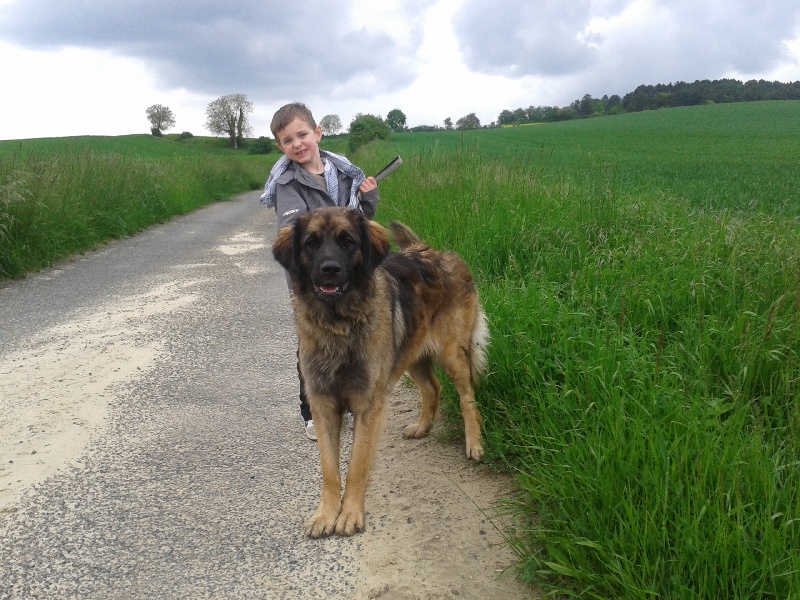 Publication : du Pont des Aulnes