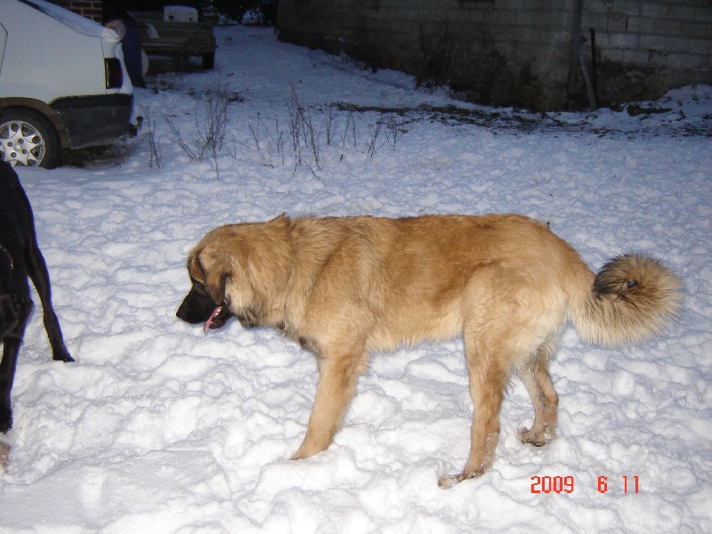 Publication : du Pont des Aulnes Auteur : festa à 8 moi et demi