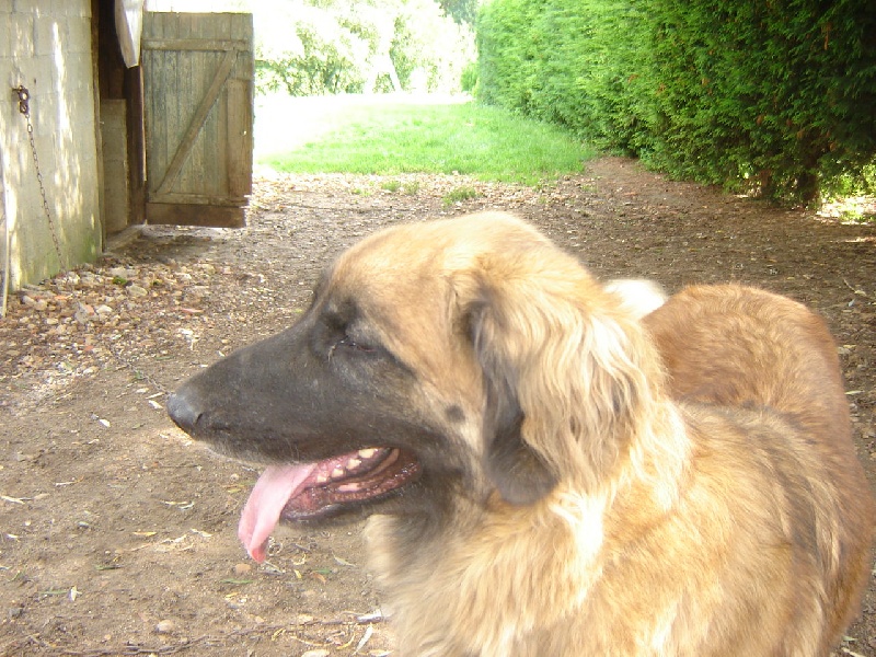 Publication : du Pont des Aulnes