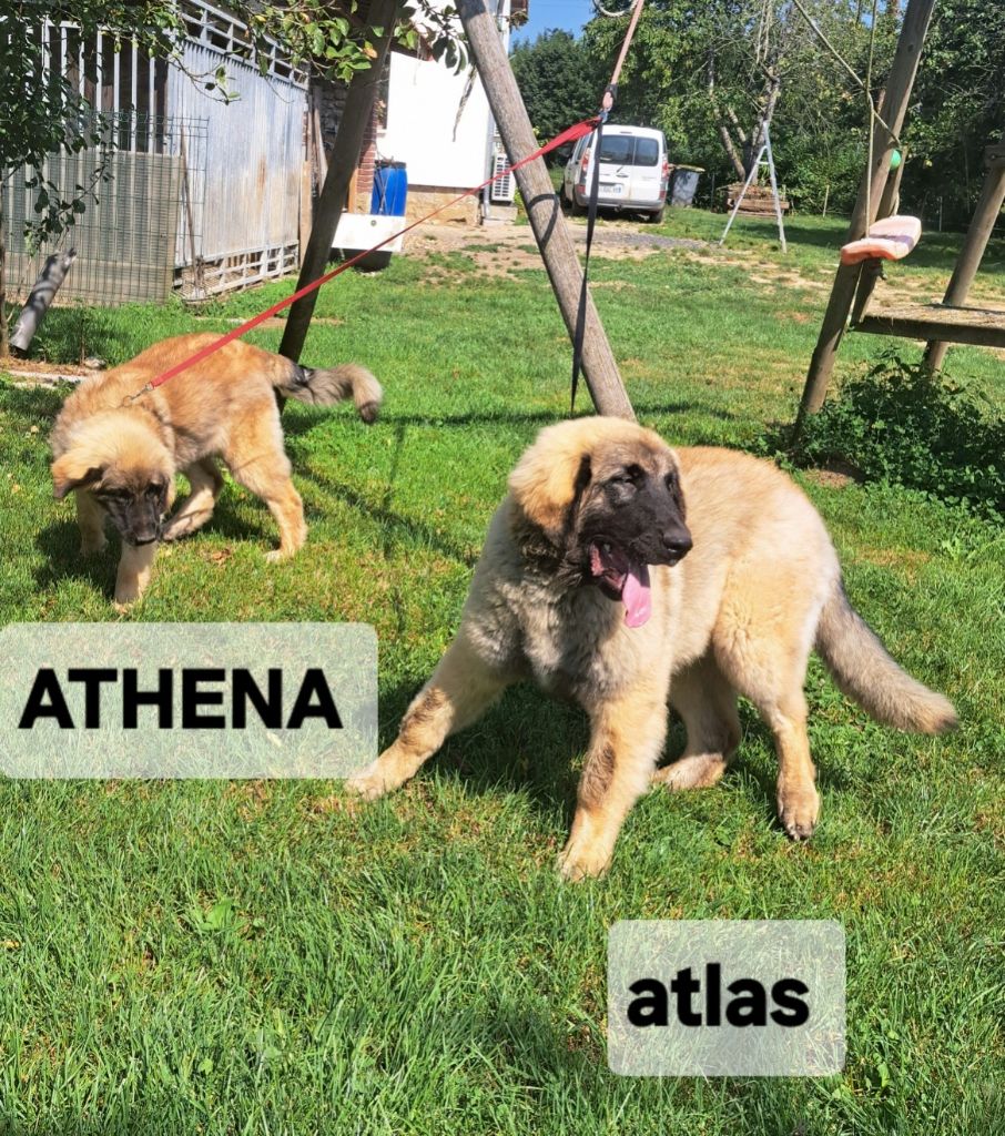 Upton du Pont des Aulnes