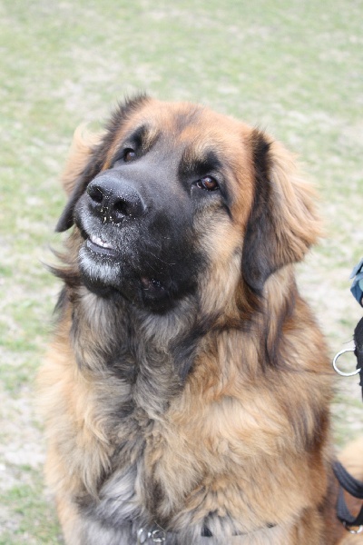 Ebene du Pont des Aulnes