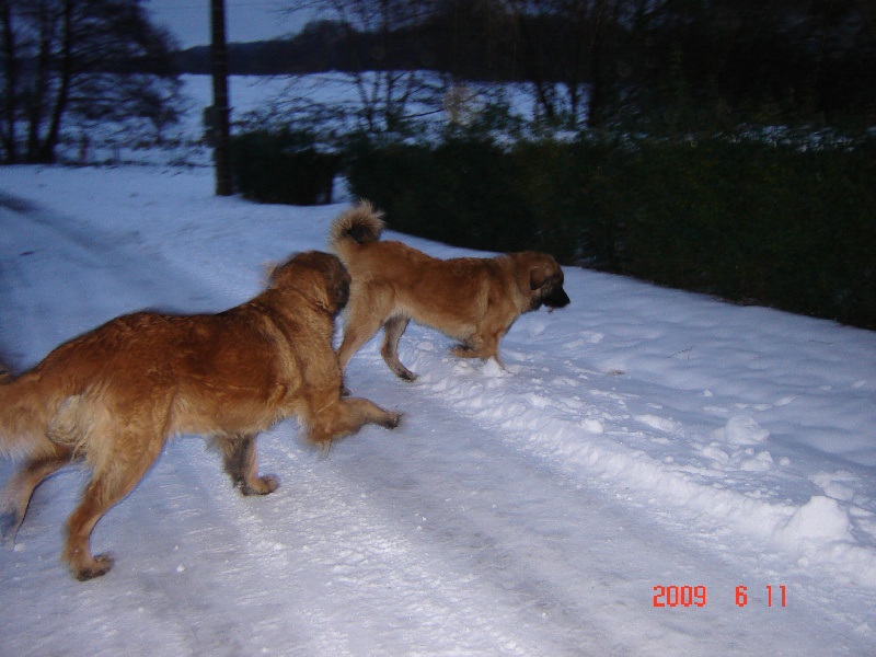 Publication : du Pont des Aulnes Auteur : festa à 8 moi et demi