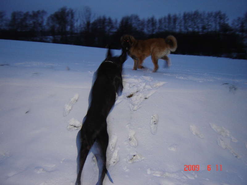Publication : du Pont des Aulnes Auteur : festa à 8 moi et demi