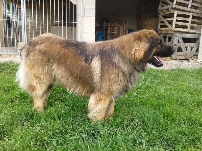 Ebene du Pont des Aulnes