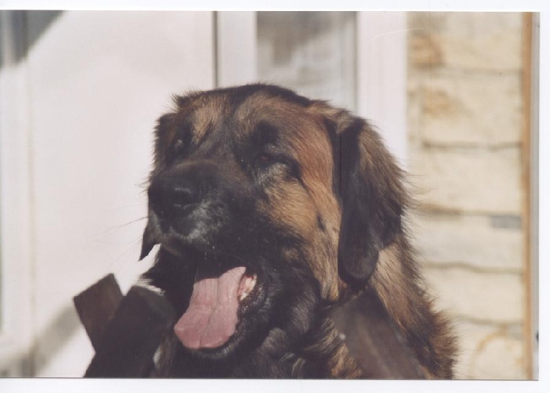 Solo du Pont des Aulnes