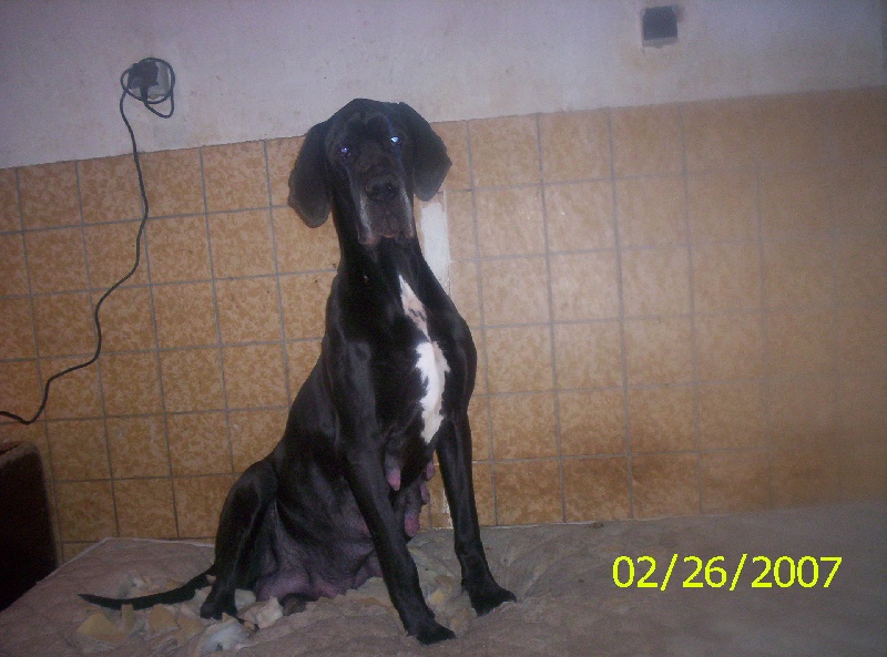 Publication : Des geants de becquigny