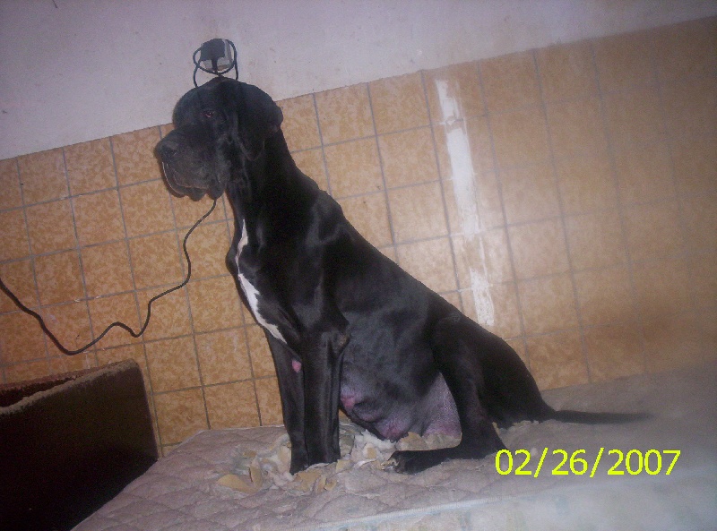 Publication : Des geants de becquigny