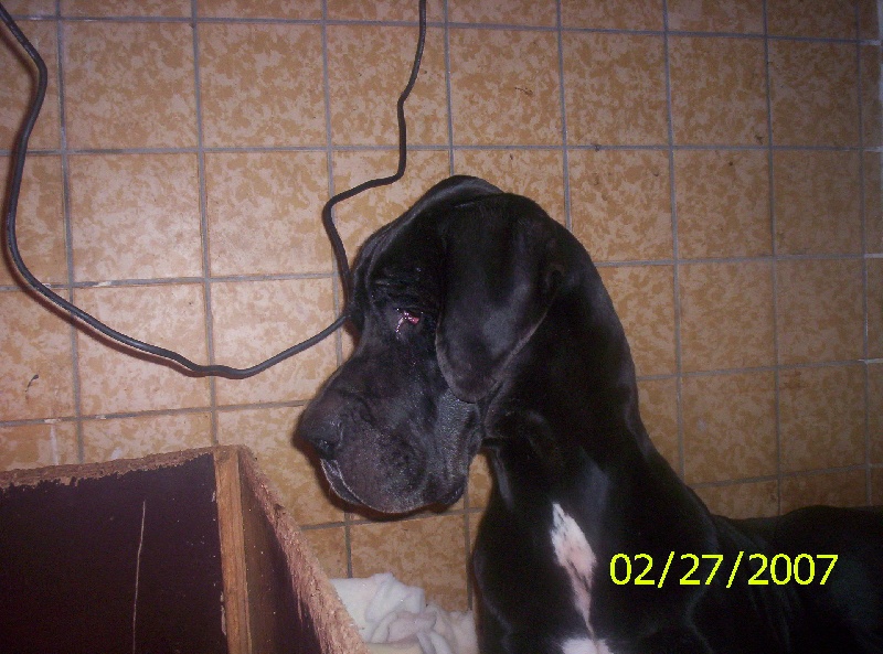 Publication : Des geants de becquigny