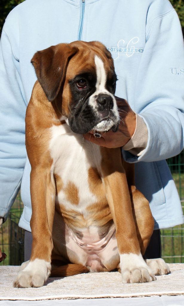 Miss dior of pearl des vents de mer