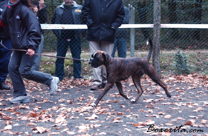 Darwin des vents de mer