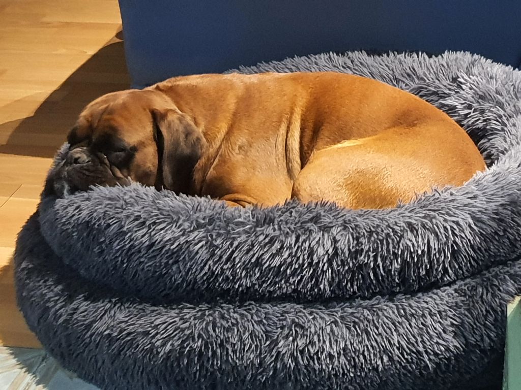 Praline des vents de mer