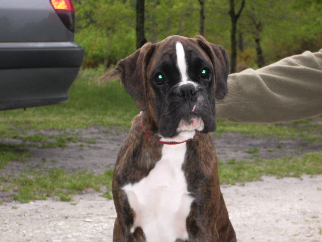 Darwin des vents de mer