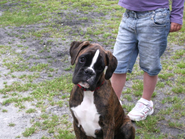 Darwin des vents de mer