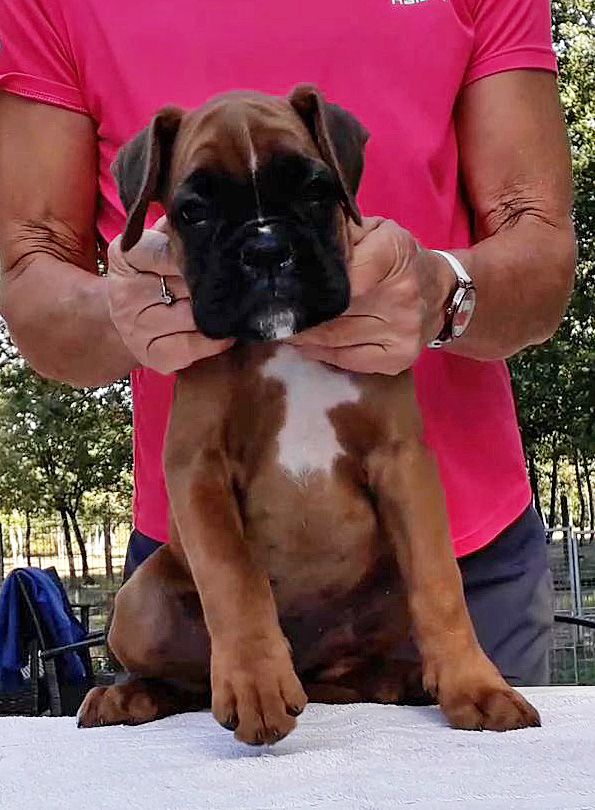 Praline des vents de mer