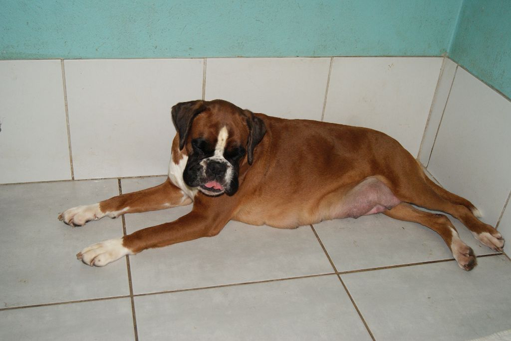 Miss dior of pearl des vents de mer