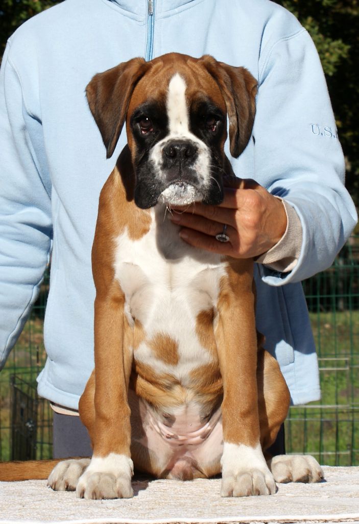 Miss dior of pearl des vents de mer