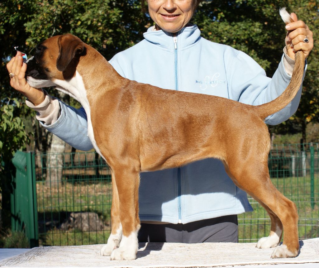 Miss dior of pearl des vents de mer