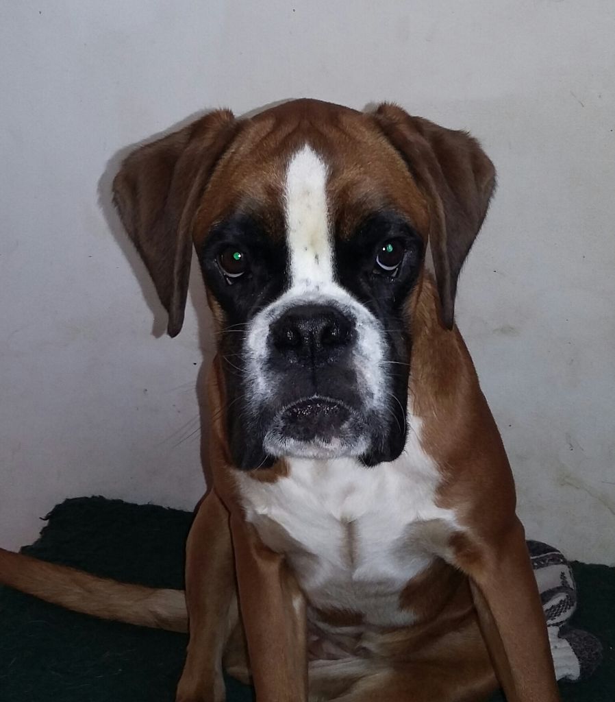 Miss dior of pearl des vents de mer