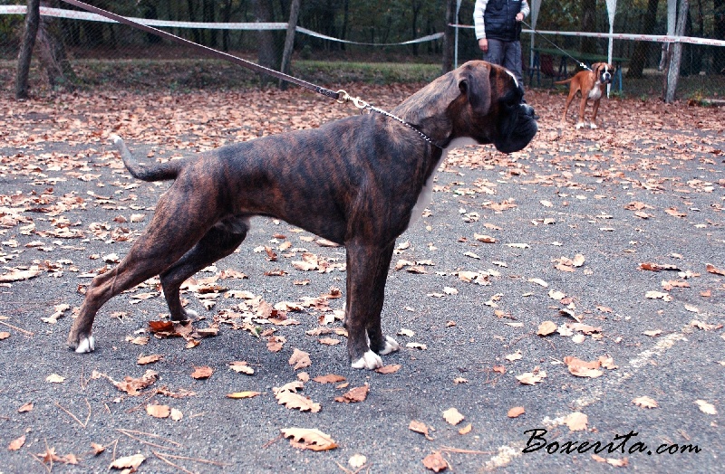 Darwin des vents de mer