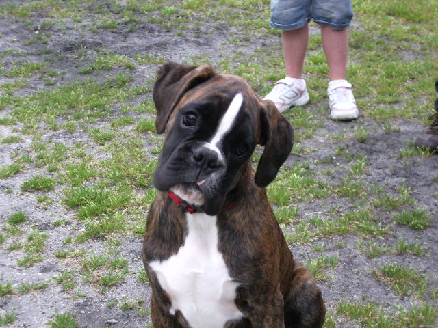 Darwin des vents de mer