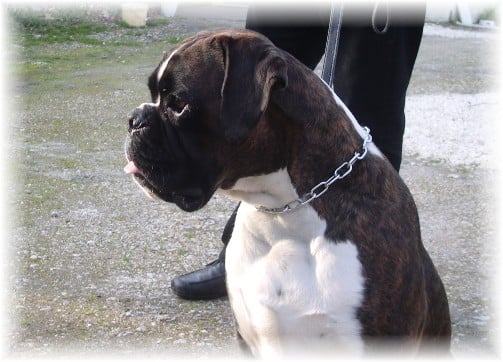 Ben des vents de mer