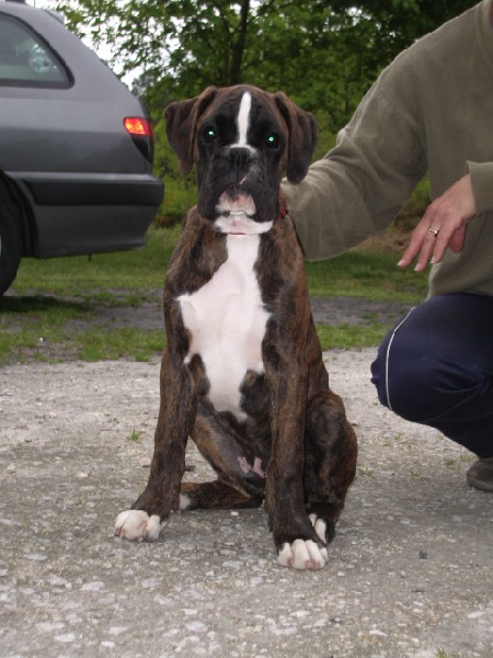 Darwin des vents de mer