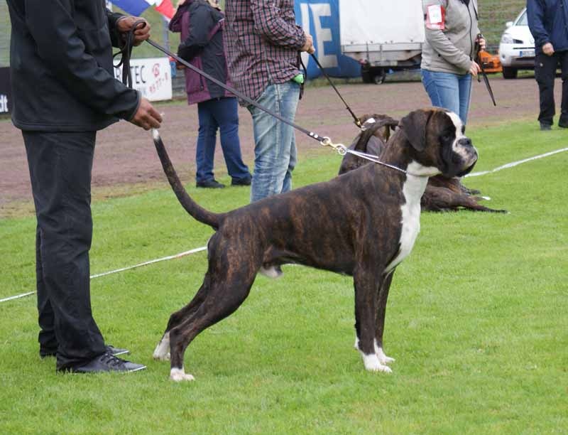 Império della andasi - SEHR GUT qualificatif le plus haut pour classe Jeune