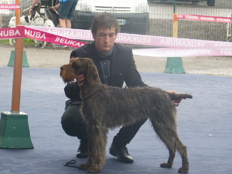 Joye du clos Renaud - 3ème EXC sur 7