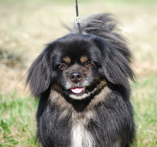 Publication : ONITSHA'S Auteur : Sylvie LANDRIAU