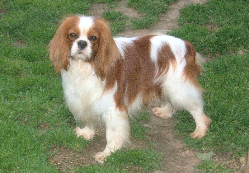 Publication : ONITSHA'S