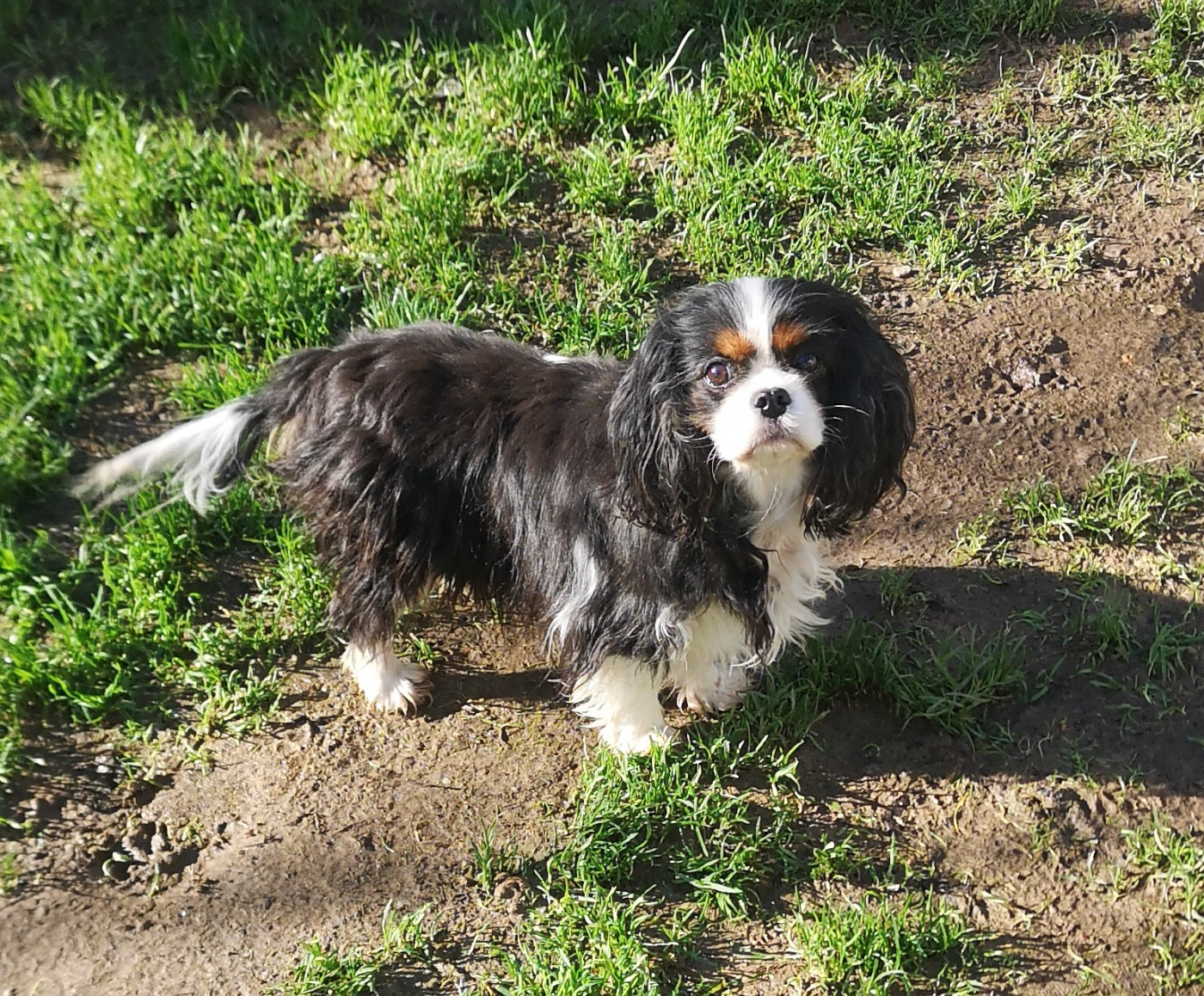 Publication : ONITSHA'S Auteur : Sylvie Landriau