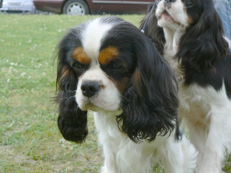 Publication : ONITSHA'S