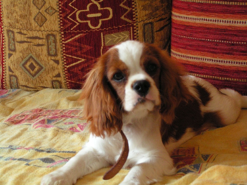 Publication : ONITSHA'S