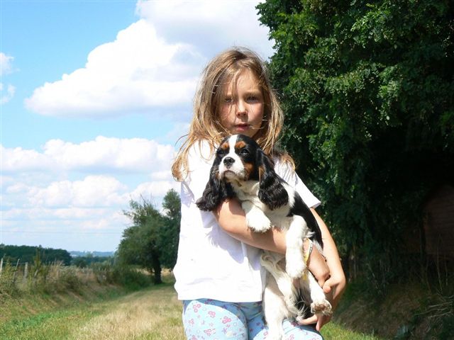 Publication : ONITSHA'S