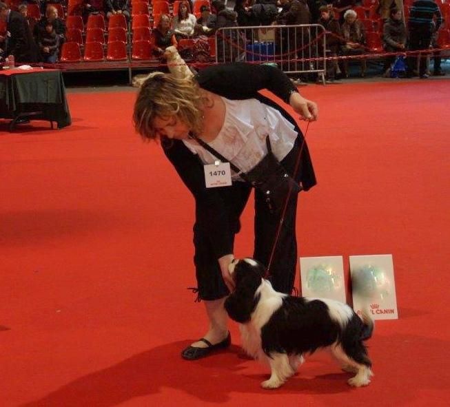 Publication : ONITSHA'S Auteur : Sylvie Landriau