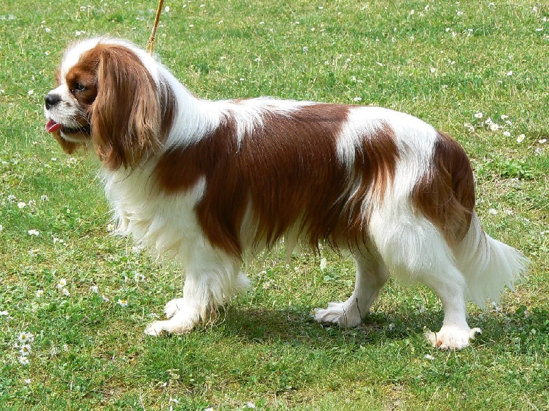 Publication : ONITSHA'S