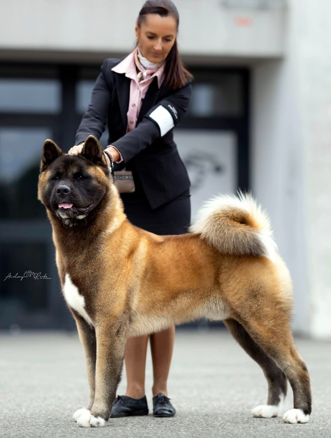 CH. Sendosan UICHIRO SEIKATSU NO TAME NI