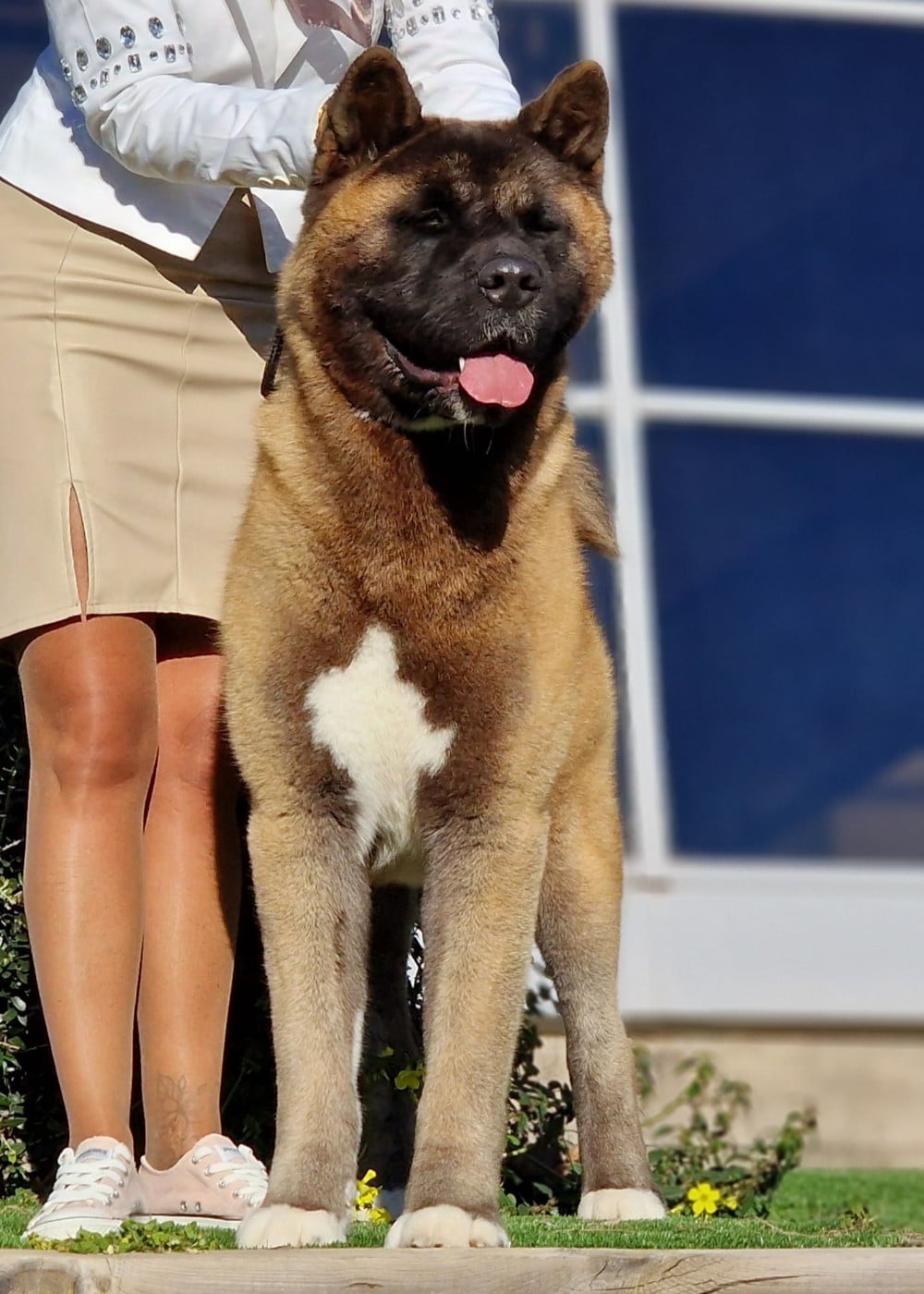 CH. Sendosan UICHIRO SEIKATSU NO TAME NI