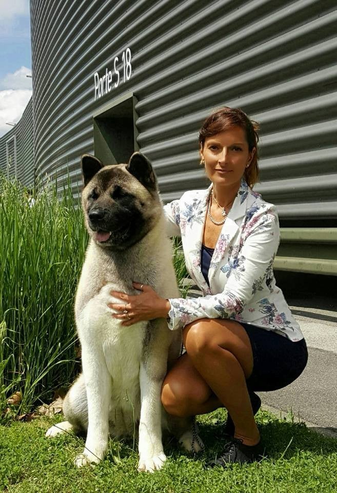 CH. delance magic Yasmin earhart