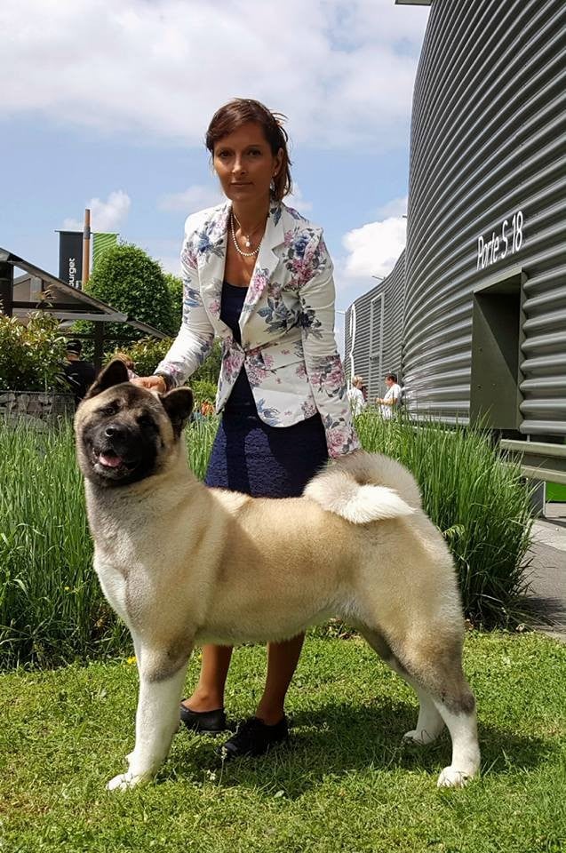 CH. delance magic Yasmin earhart