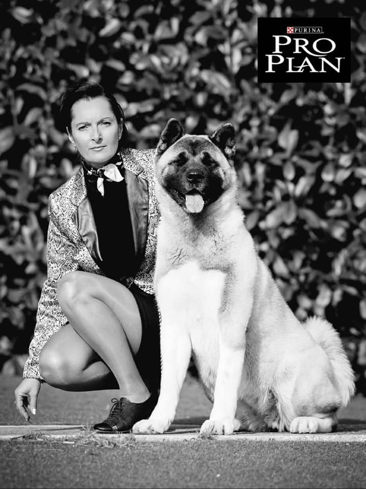 CH. delance magic Yasmin earhart