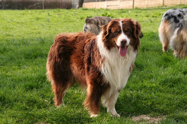 Publication : des falaises d etretat